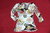 MISS SIXTY Blumen Shirt Top Damen 3/4 Arm Ripp V-Ausschnitt S